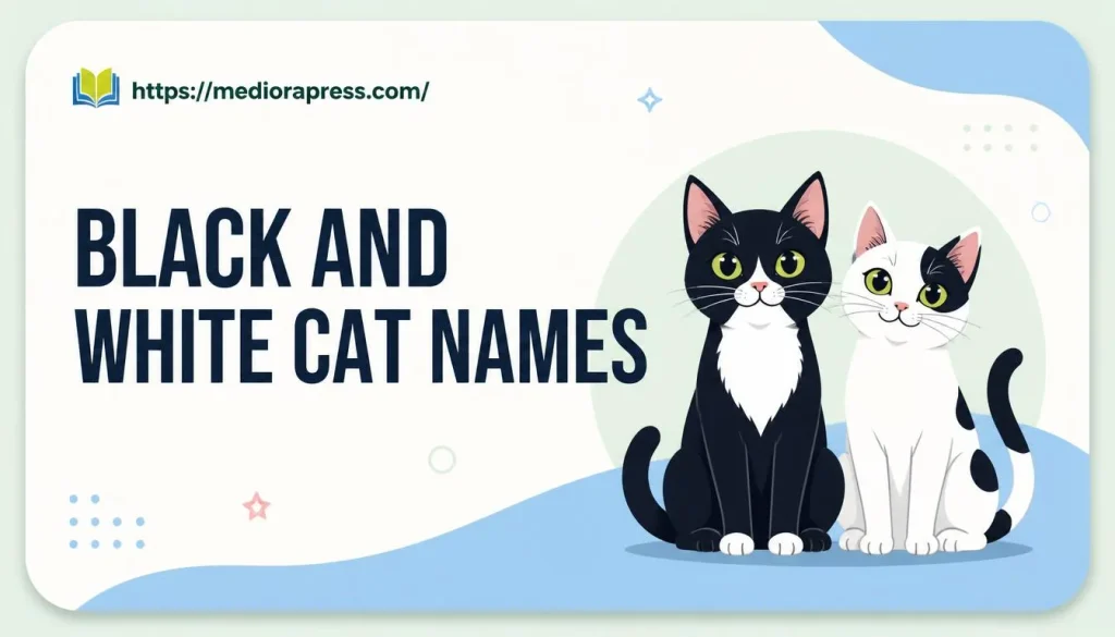 Black and White Cat Names