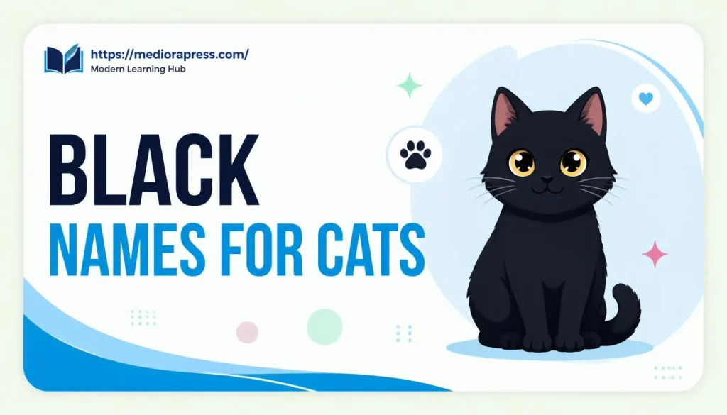black names for cats