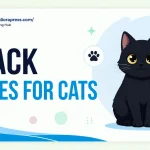 black names for cats