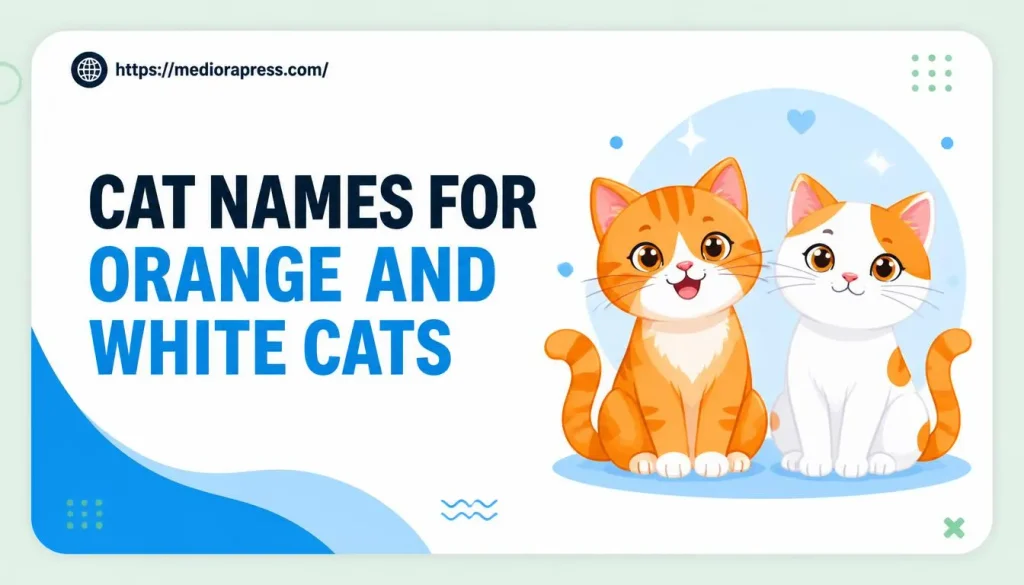 cat names for orange and white cats
