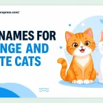 cat names for orange and white cats