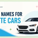 cool names for white cars