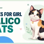 names-for-girl-calico-cats